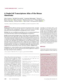 A Single-Cell Transcriptome Atlas of the Mouse Glomerulus