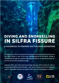 Diving and Snorkelling in Silfra Fissure a Handbook to Prepare You for Your Adventure