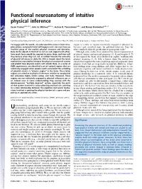 Functional Neuroanatomy of Intuitive Physical Inference