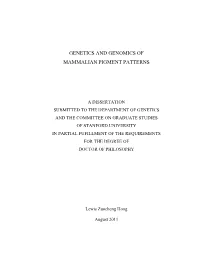 Genetics and Genomics of Mammalian Pigment Patterns