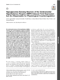 Hypoglycemia-Sensing Neurons of the Ventromedial Hypothalamus Require AMPK-Induced Txn2 Expression but Are Dispensable for Physiological Counterregulation