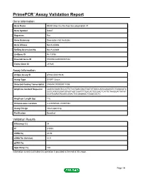 Primepcr™Assay Validation Report