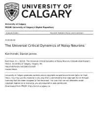 The Universal Critical Dynamics of Noisy Neurons