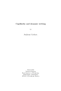Capillarity and Dynamic Wetting Andreas Carlson
