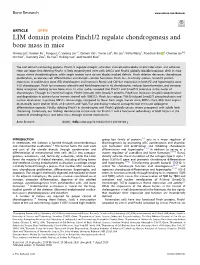LIM Domain Proteins Pinch1/2 Regulate Chondrogenesis and Bone Mass in Mice