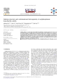 Solution Structure and Conformational Heterogeneity of Acylphosphatase from Bacillus Subtilis
