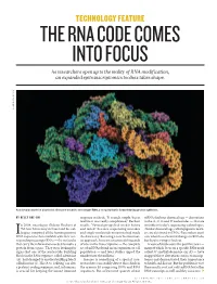 THE RNA CODE COMES INTO FOCUS As Researchers Open up to the Reality of RNA Modification, an Expanded Epitranscriptomics Toolbox Takes Shape