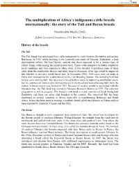 The Story of the Tuli and Boran Breeds