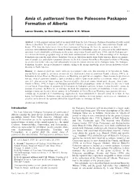 Amia Cf. Pattersoni from the Paleocene Paskapoo Formation of Alberta