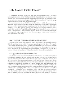 B4. Gauge Field Theory