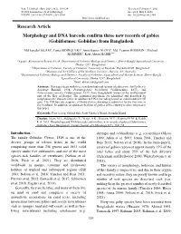 Download This PDF File