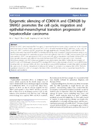 Epigenetic Silencing of CDKN1A and CDKN2B by SNHG1 Promotes The