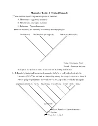 Mammalogy Lecture 2 - Origin of Mammals I
