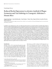 Reduced Reelin Expression Accelerates Amyloid-ßplaque