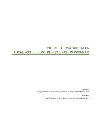 Watkins Glen LWRP Includes Seven Sections and Appendices Summarized Below