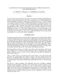 A Comparative Study on Wound Healing in Lambs and Hoggets Following Mulesing