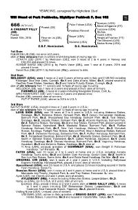 YEARLING, Consigned by Highclere Stud