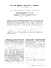 Brain Stem Arteries in Canis Familiaris - Implications in Experimental Procedures