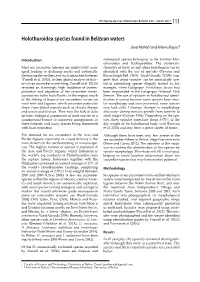Holothuroidea Species Found in Belizean Waters Janel Mcnab1 and Arlenie Rogers2