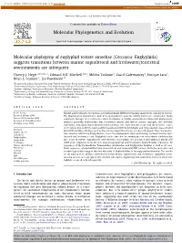 Molecular Phylogeny of Euglyphid Testate Amoebae (Cercozoa: Euglyphida)