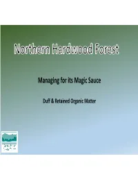 Managing for Its Magic Sauce