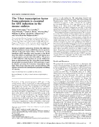 The T-Box Transcription Factor Eomesodermin Is Essential for AVE Induction in the Mouse Embryo