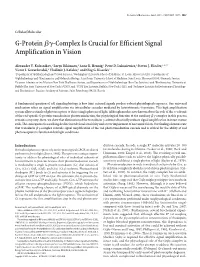G-Protein ␤␥-Complex Is Crucial for Efficient Signal Amplification in Vision