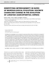 Identifying Heterogeneity in Rates of Morphological Evolution: Discrete Character Change in the Evolution of Lungfish (Sarcopterygii; Dipnoi)