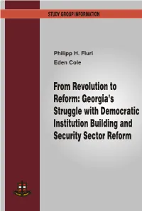 Georgia's Struggle with Democratic Institution Building And