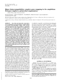 Major Histocompatibility Complex Gene Mapping in the Amphibian Xenopus Implies a Primordial Organization (Evolution͞linkage Groups͞antigen Presentation)