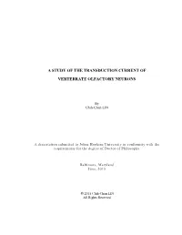 A Study of the Transduction Current of Vertebrate