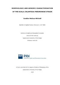 Candice Mitchell Thesis