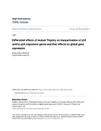 Differential Effects of Mutant Tap63î³ on Transactivation of P53 And/Or P63