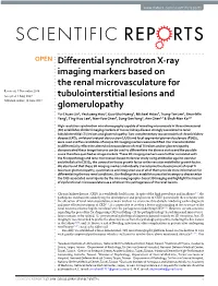 Differential Synchrotron X-Ray Imaging Markers Based on the Renal