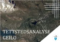 Tettstedsanalyse Geilo