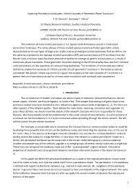1 Exploring Percolative Landscapes: Infinite Cascades of Geometric Phase Transitions P. N. Timonin1, Gennady Y. Chitov2 (1) Phys