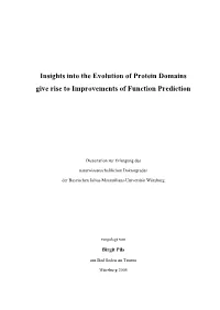 Insights Into the Evolution of Protein Domains Give Rise to Improvements of Function Prediction