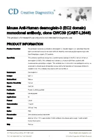 Mouse Anti-Human Desmoglein-3 (EC2 Domain) Monoclonal Antibody, Clone QWC39 (CABT-L2646) This Product Is for Research Use Only and Is Not Intended for Diagnostic Use