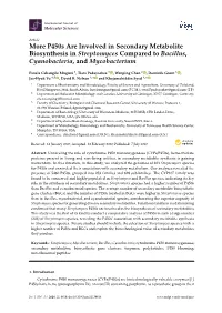 P450s Are Involved in Secondary Metabolite Biosynthesis in Streptomyces Compared to Bacillus, Cyanobacteria, and Mycobacterium