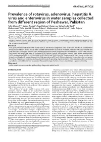 Prevalence of Rotavirus, Adenovirus, Hepatitis a Virus and Enterovirus in Water Samples Collected from Different Region of Peshawar, Pakistan