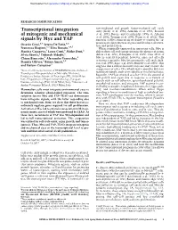 Transcriptional Integration of Mitogenic and Mechanical Signals by Myc and YAP