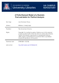 A Finite Element Model of a Realistic Foot and Ankle for Flatfoot Analysis