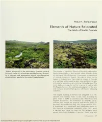 Elements of Nature Relocated the Work of Studio Granda