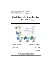 Evolution of Biomolecular Structure Class II Trna-Synthetases and Trna