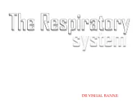 The Respiratory System