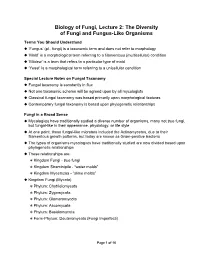 Biology of Fungi, Lecture 2: the Diversity of Fungi and Fungus-Like Organisms