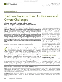 The Forest Sector in Chile: an Overview and Current Challenges