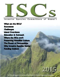 What Are the Iscs?