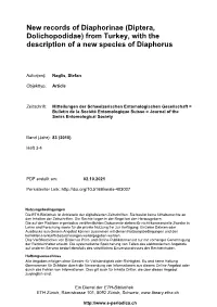 Diptera, Dolichopodidae) from Turkey, with the Description of a New Species of Diaphorus