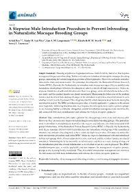 A Stepwise Male Introduction Procedure to Prevent Inbreeding in Naturalistic Macaque Breeding Groups
